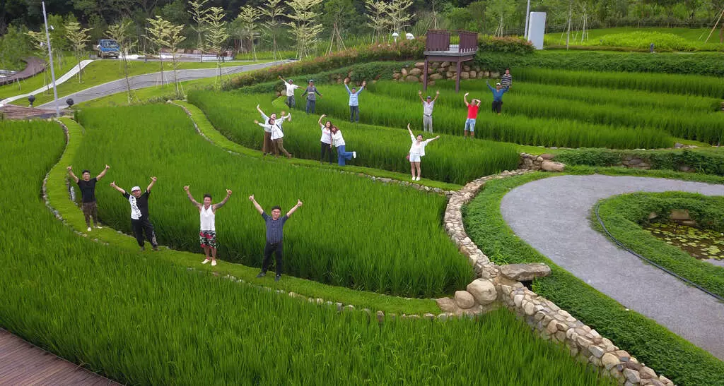 大有梯田生態公園