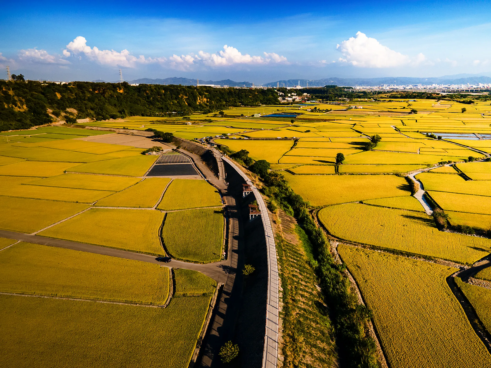 台中外埔忘憂谷